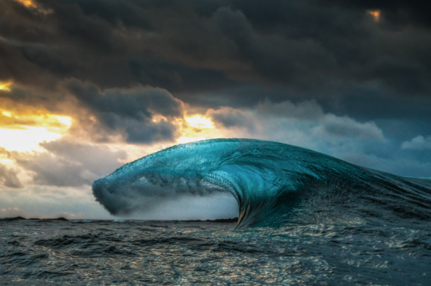 The Wave Andy Mann