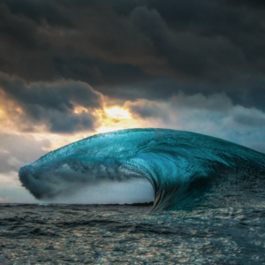 The Wave Andy Mann